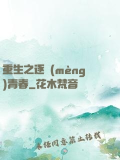 重生之逐夢(mèng)青春