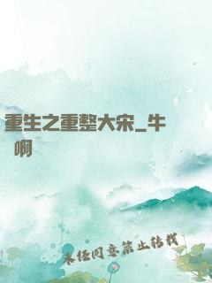 重生之重整大宋