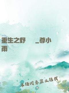 重生之野蠻盜賊