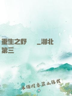 重生之野蠻盜賊