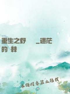 重生之野蠻盜賊