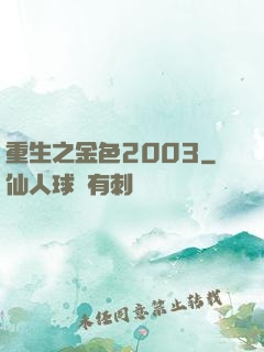 重生之金色2003