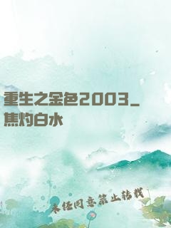 重生之金色2003