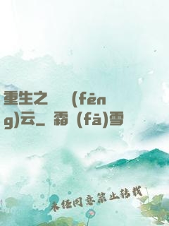 重生之電腦風(fēng)云