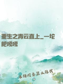 重生之青云直上