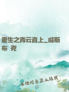 重生之青云直上