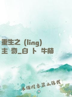 重生之領(lǐng)主傳奇
