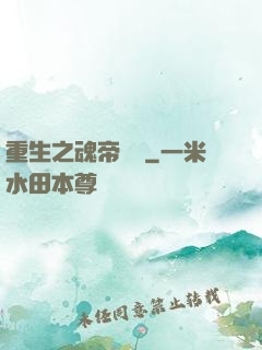重生之魂帝歸來