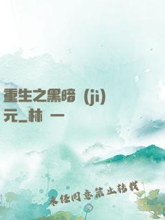 重生之黑暗紀(jì)元