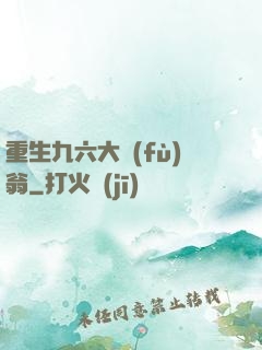 重生九六大負(fù)翁