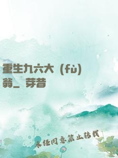 重生九六大負(fù)翁