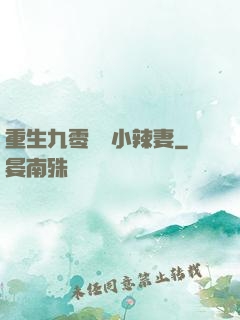 重生九零財運小辣妻