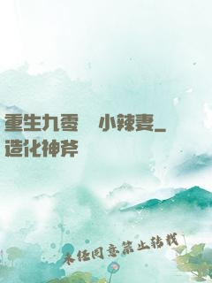 重生九零財運小辣妻