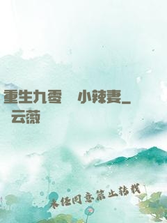 重生九零財運小辣妻