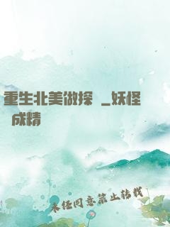 重生北美做探長