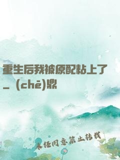 重生后我被原配粘上了