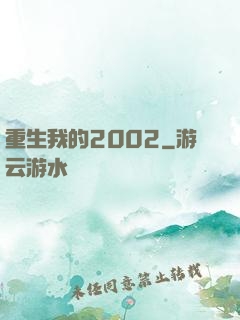 重生我的2002