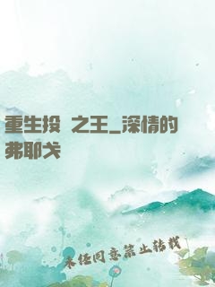 重生投資之王