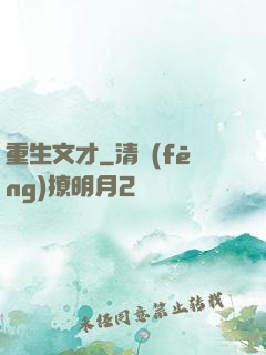 重生文才