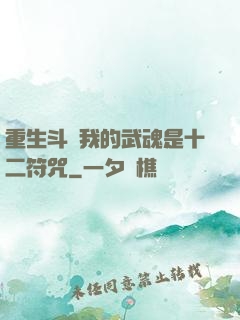 重生斗羅我的武魂是十二符咒