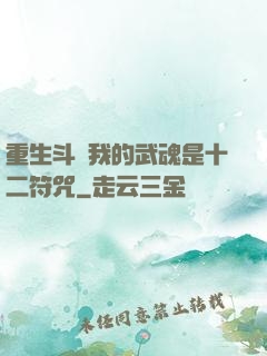 重生斗羅我的武魂是十二符咒