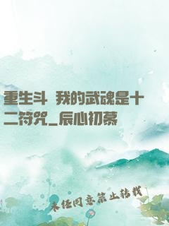重生斗羅我的武魂是十二符咒