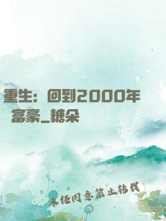 重生：回到2000年當富豪