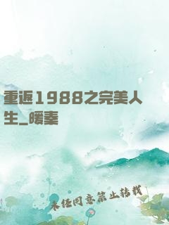 重返1988之完美人生
