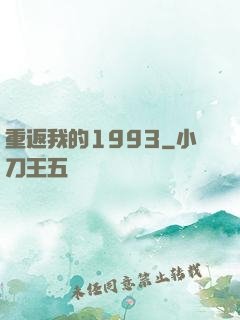 重返我的1993