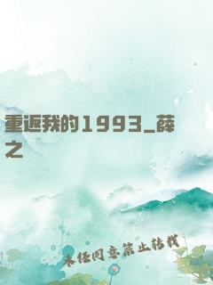 重返我的1993