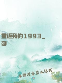 重返我的1993