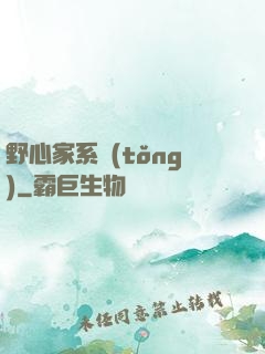 野心家系統(tǒng)