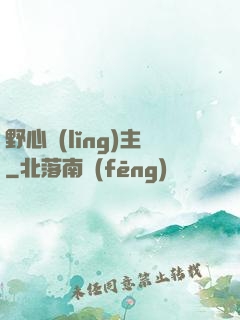 野心領(lǐng)主