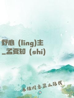 野心領(lǐng)主