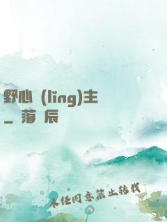 野心領(lǐng)主