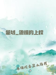 量域