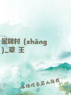 金牌村長(zhǎng)