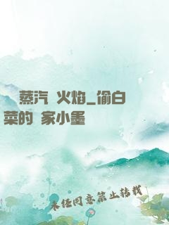 鋼鐵蒸汽與火焰