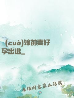 錯(cuò)嫁前妻好孕出逃
