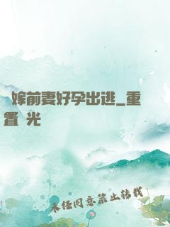 錯嫁前妻好孕出逃