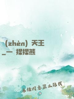 鎮(zhèn)國天王