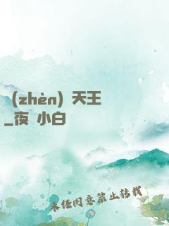 鎮(zhèn)國天王