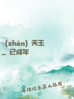 鎮(zhèn)國天王