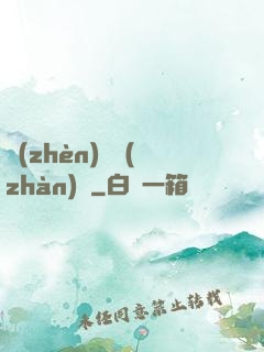 鎮(zhèn)國戰(zhàn)龍