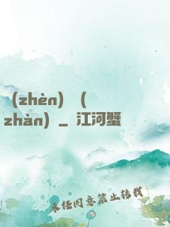 鎮(zhèn)國戰(zhàn)龍