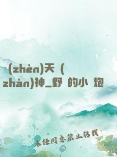 鎮(zhèn)天戰(zhàn)神