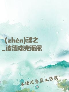 鎮(zhèn)魂之書