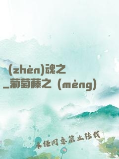 鎮(zhèn)魂之書