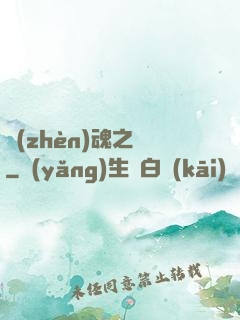 鎮(zhèn)魂之書