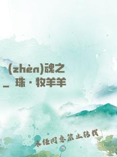 鎮(zhèn)魂之書